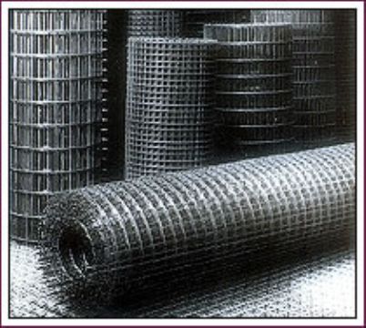 Galvanized Welded Wire Mesh 